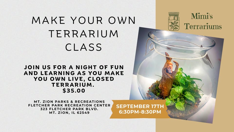 Infographic for an adult terrarium making class