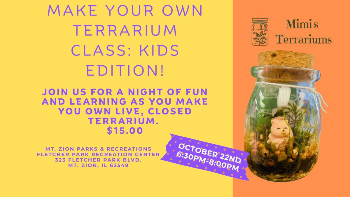 Infographic for a child terrarium making class